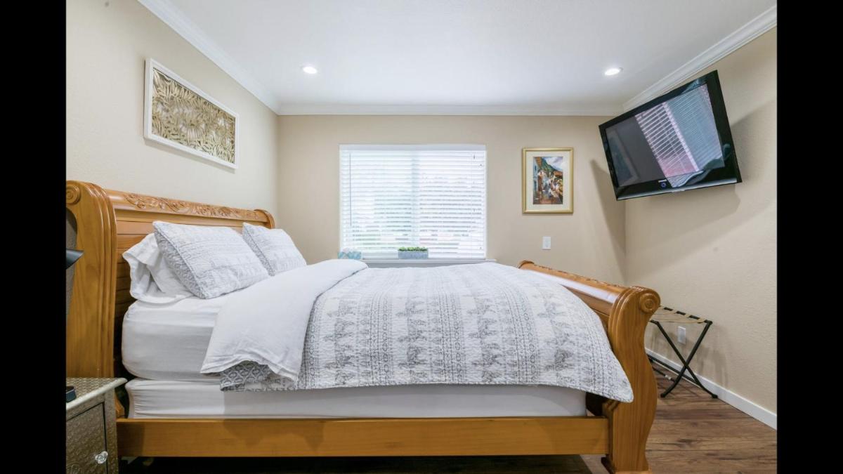 Beautiful Studio - Housity
