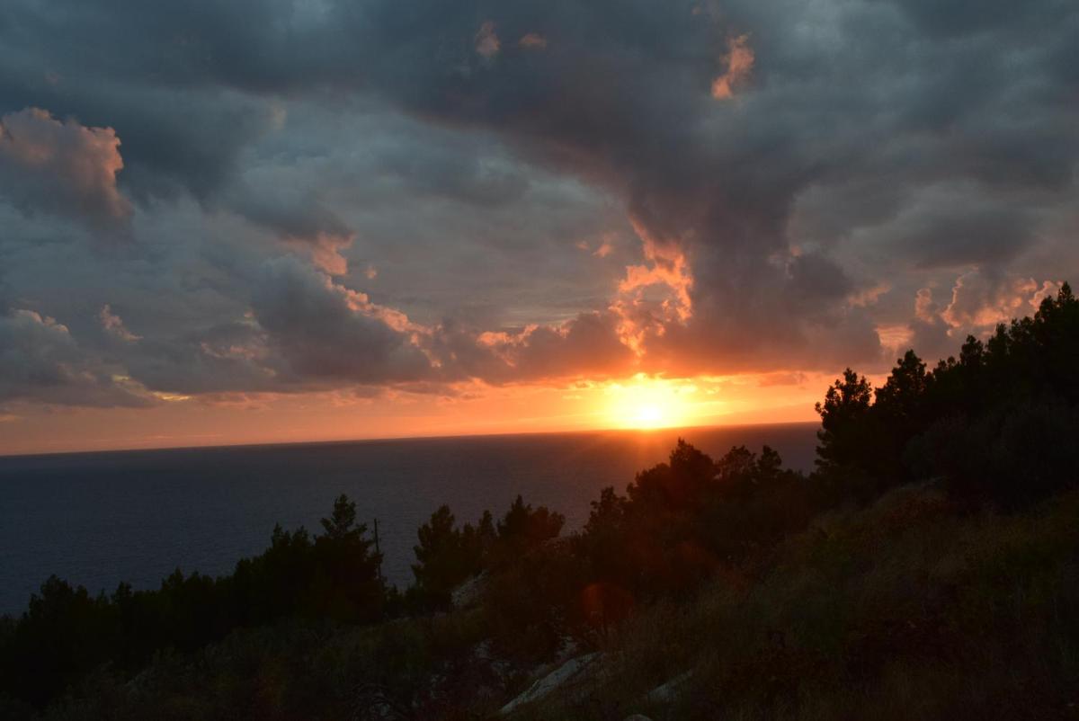 Holiday Home Babič - Housity