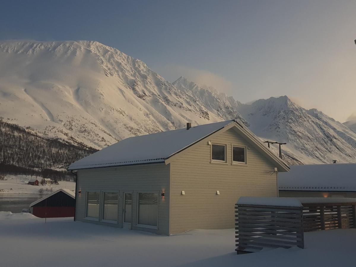 Lyngsalpan Cruise Lodge - Storgalten - Housity