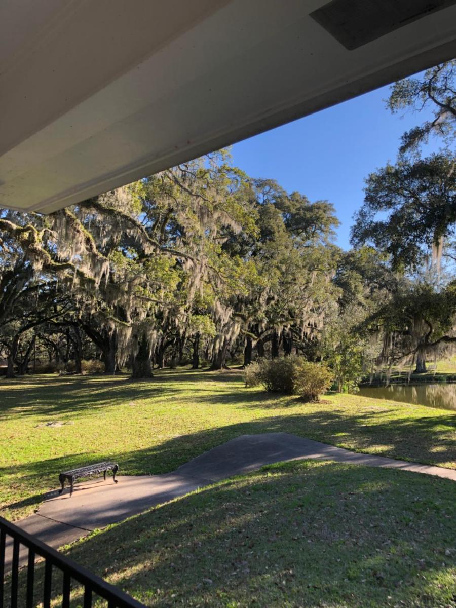 Greenwood Plantation B&B Inn - Housity