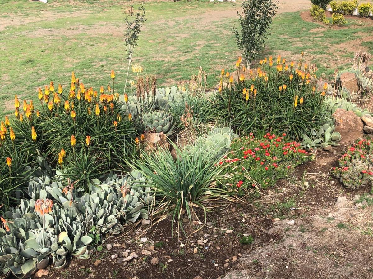 Mants’ebo Guest House Mokhotlong - Housity