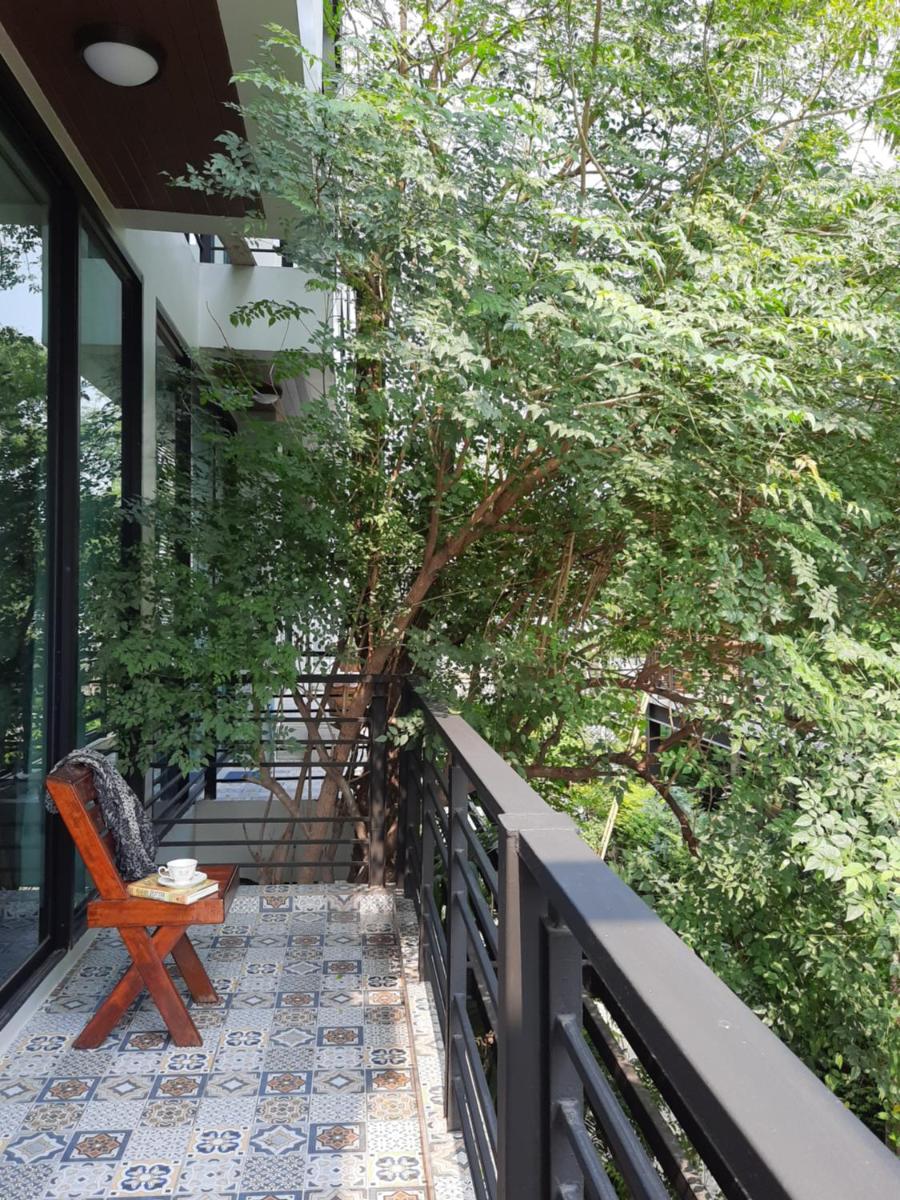 PomPom Home - Hizvo