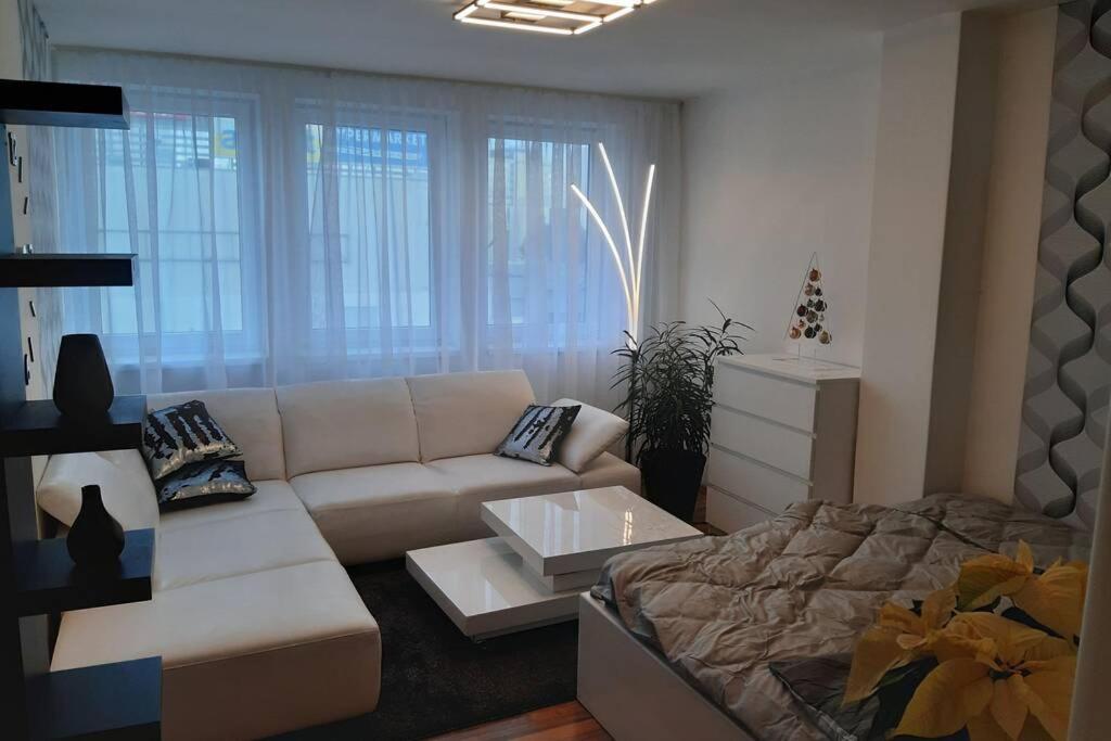 Prague apartment in Most near Golf club, aqua-hipo-autodrom in Most - Housity