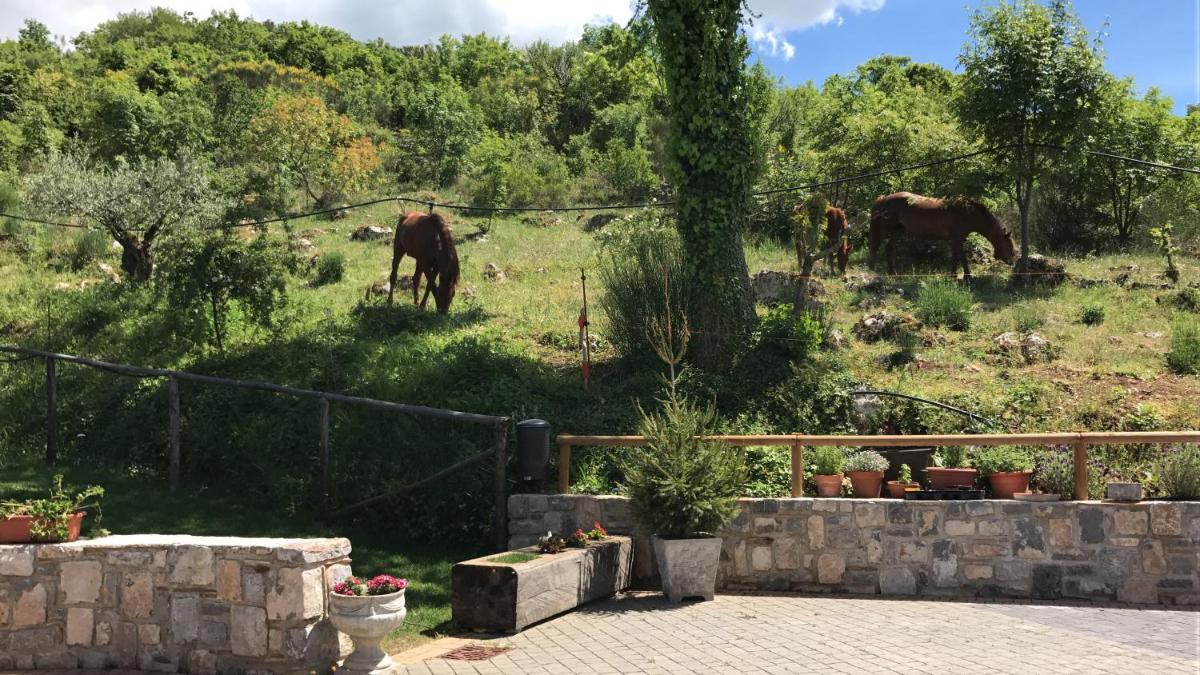 Agriturismo Terra Verde - Housity