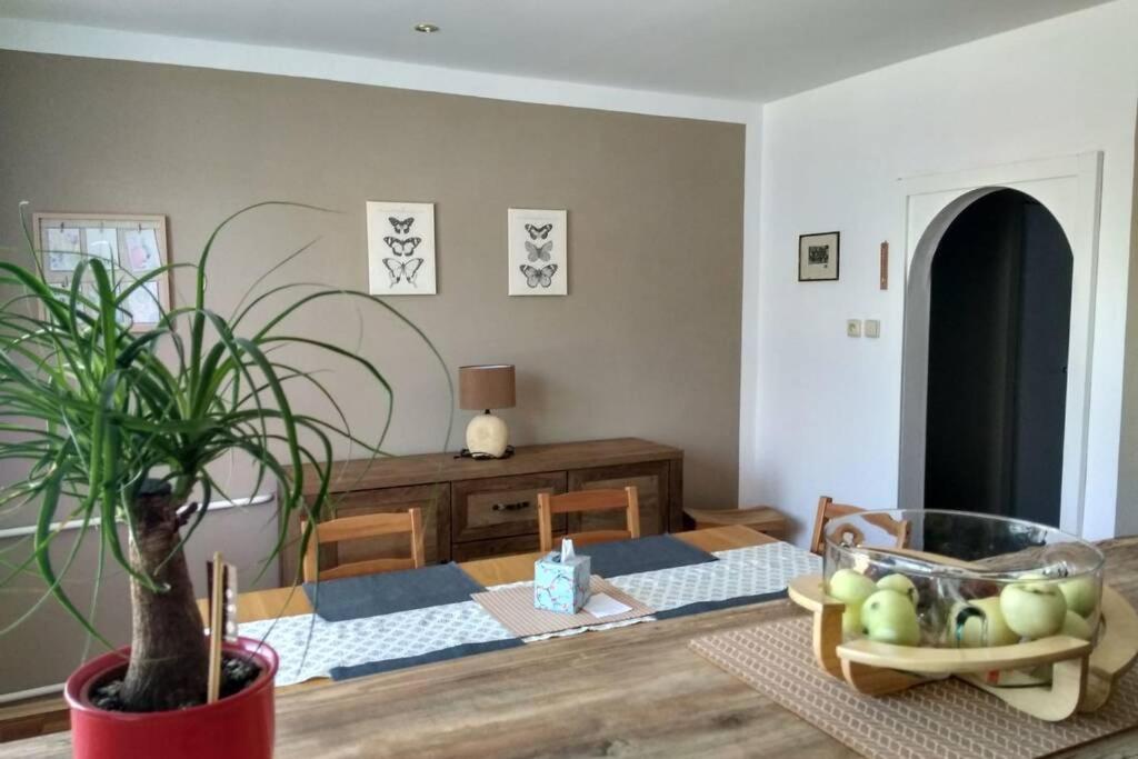 Apartmán se zahradou v Protivíně - Housity