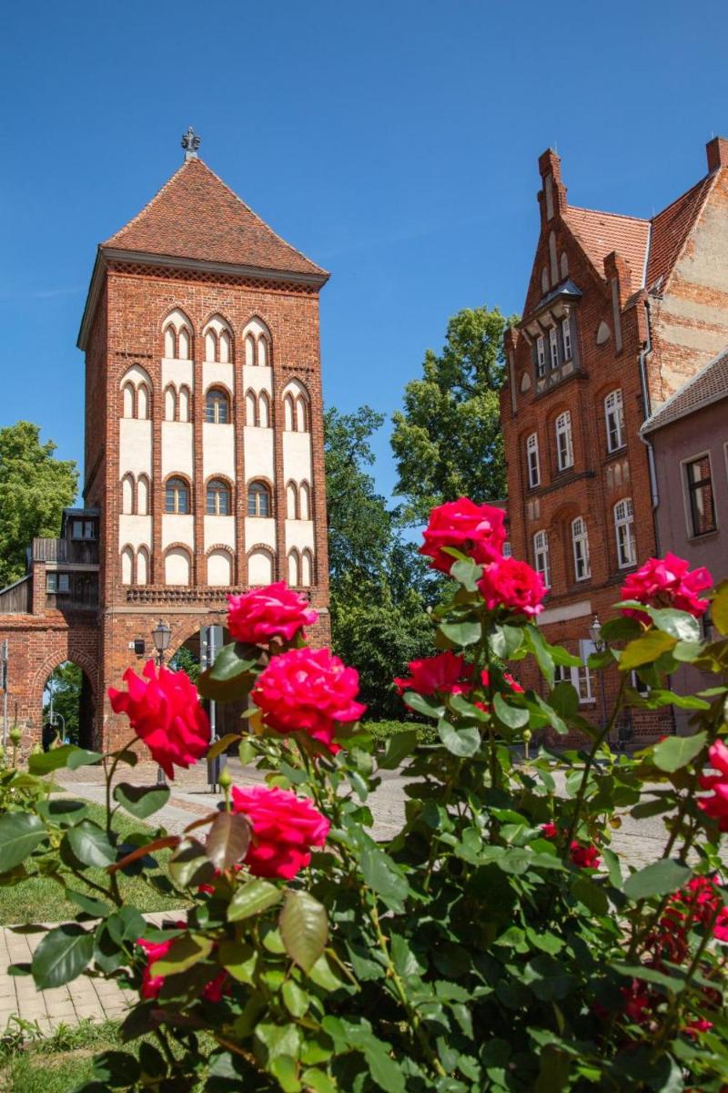 Gemütliche Ferienwohnung - Monteurzimmer in der Wittstocker Altstadt - Housity