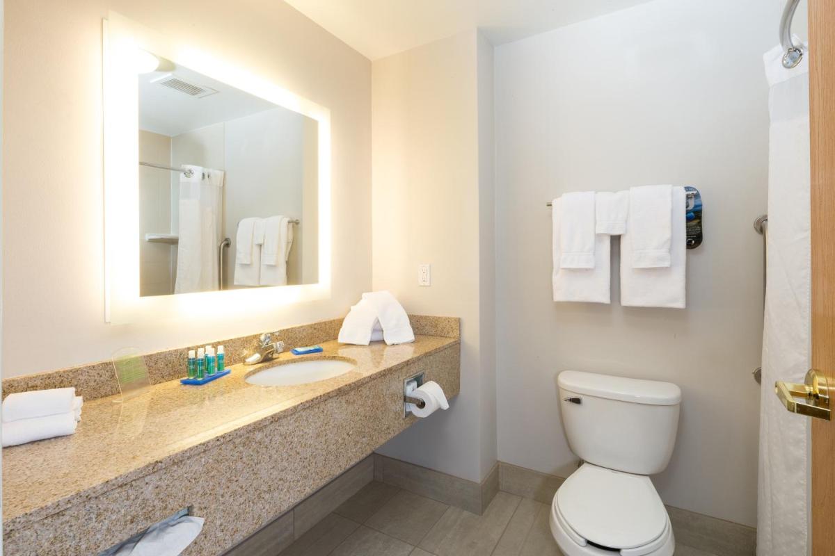 Holiday Inn Express Hotel & Suites Detroit-Utica by IHG - Housity