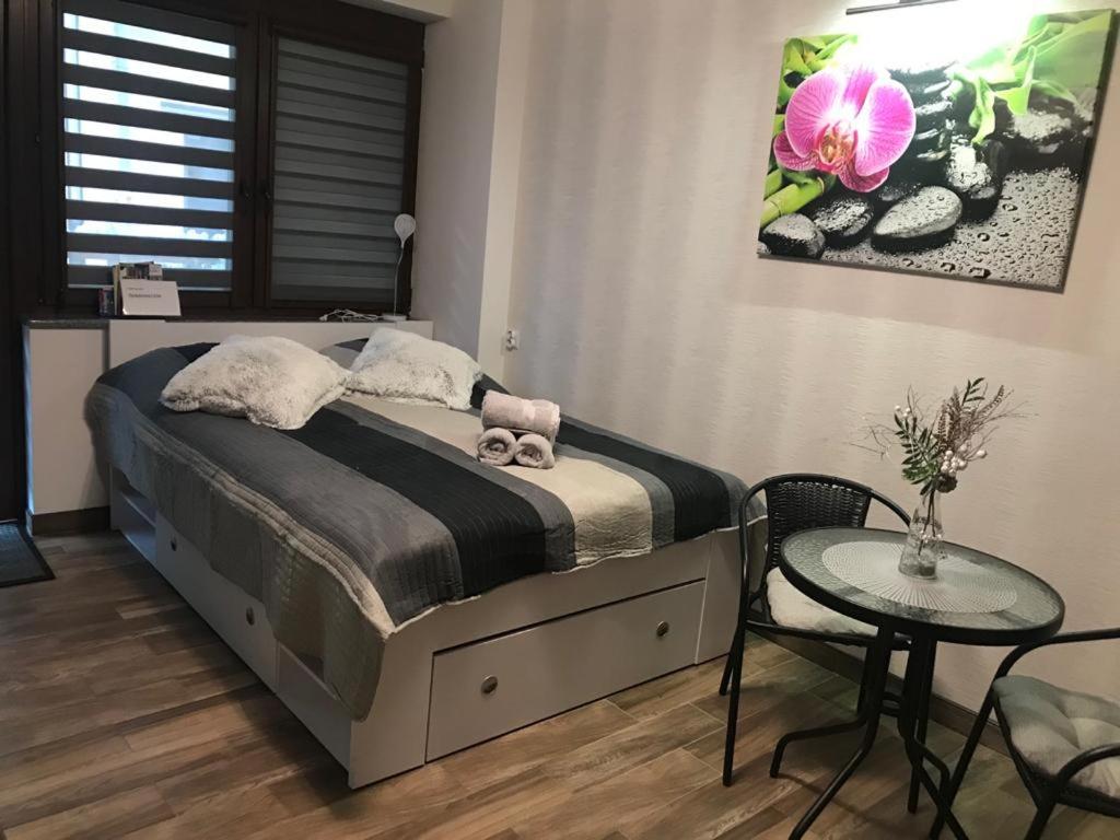 Spadzista 3 - Housity