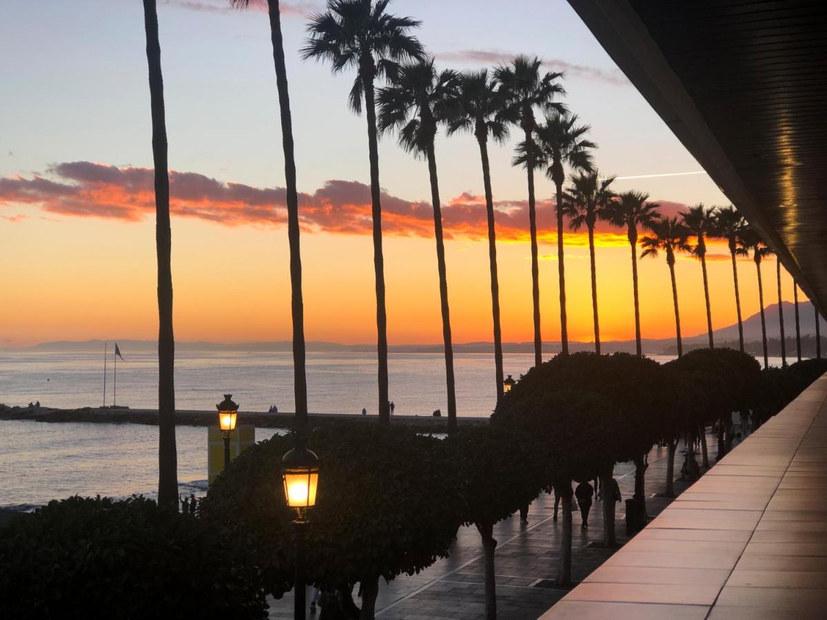 Beach Front Apartment-1st Line - Housity