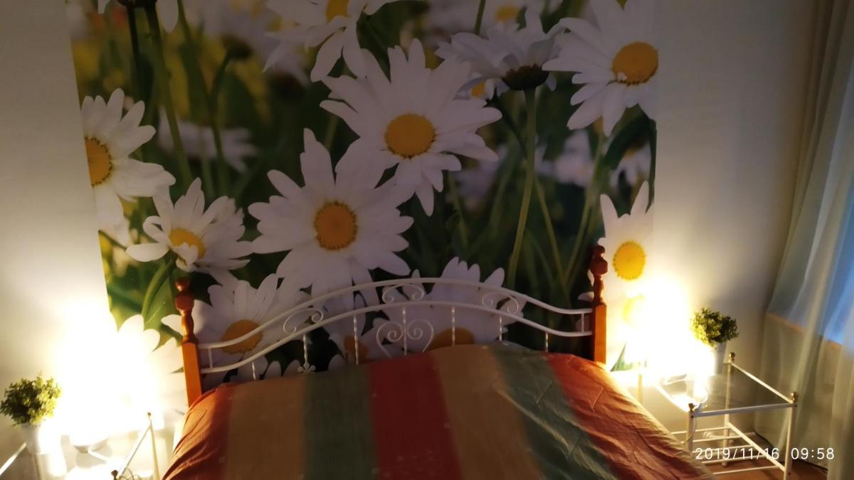 Apartment Haltijantie - Housity