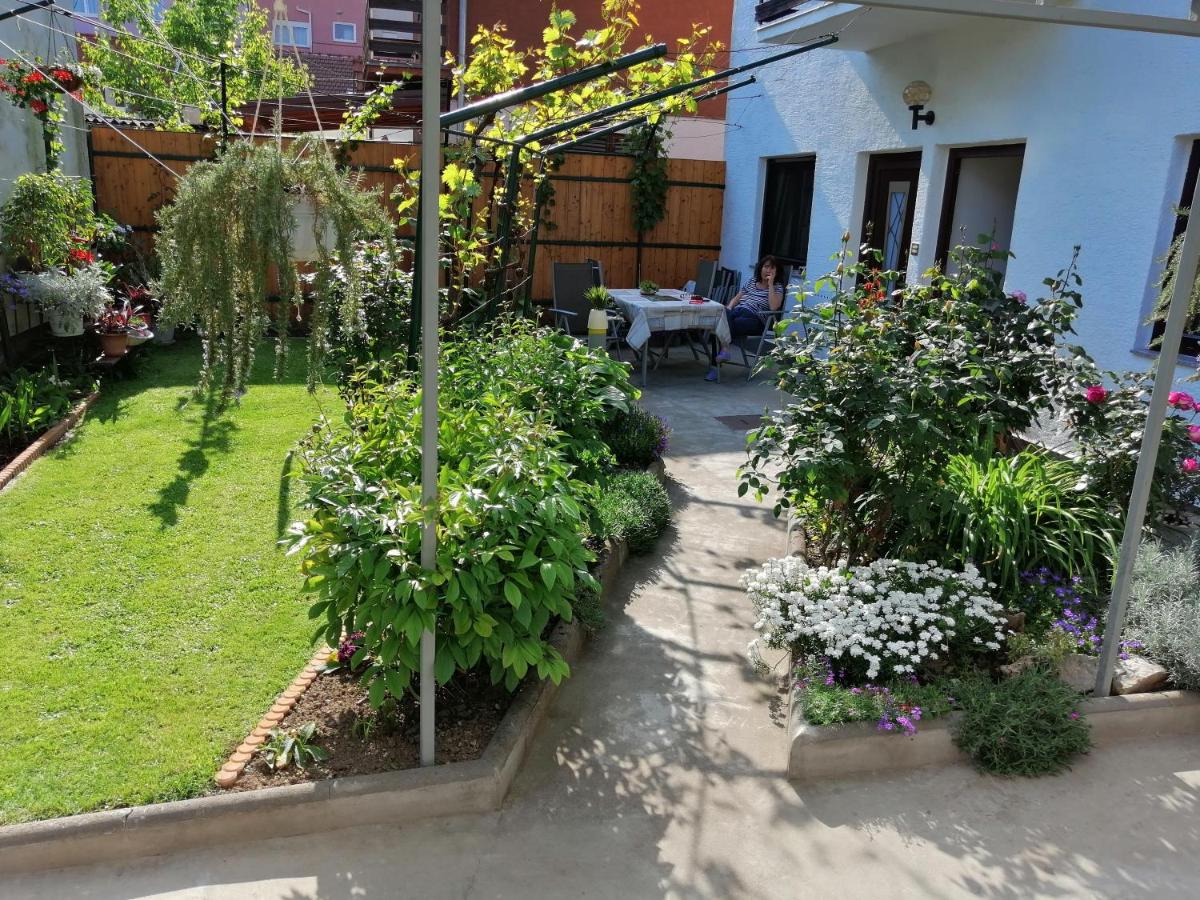 MZ Apartment - Housity