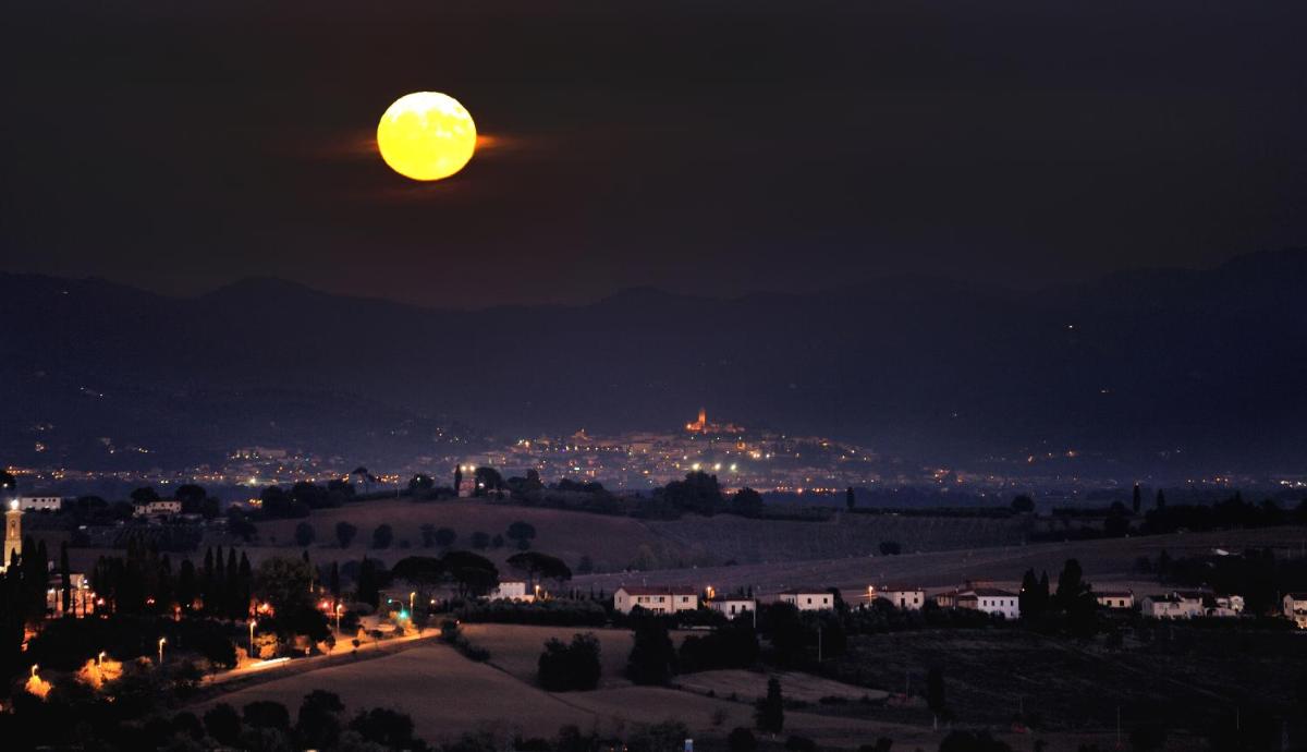 LUXURY VILLA SALTWATER POOL 35min FROM CORTONA - Housity