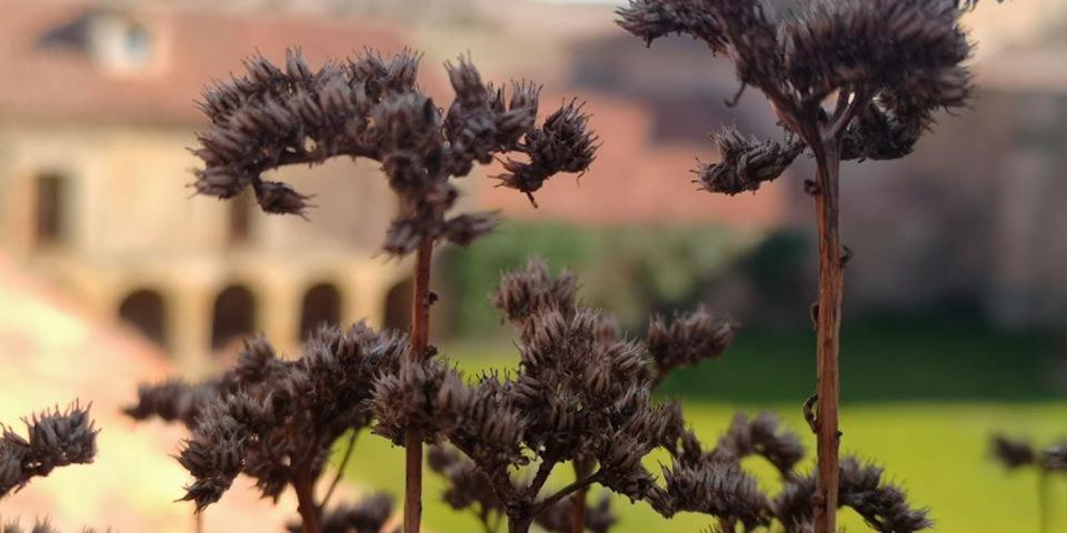 Casa rural Casa Fuerte San Gregorio I - Housity