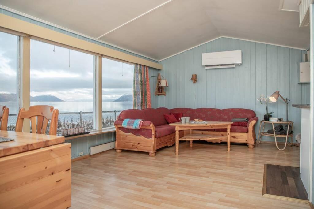 Cozy Cabin - Housity