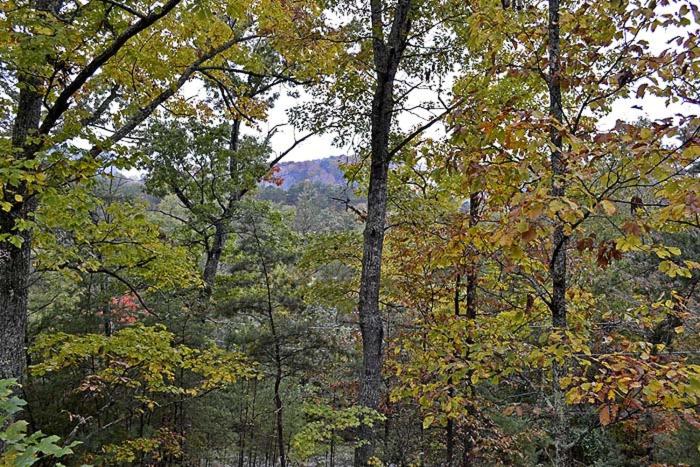 Mountain Magic - Housity