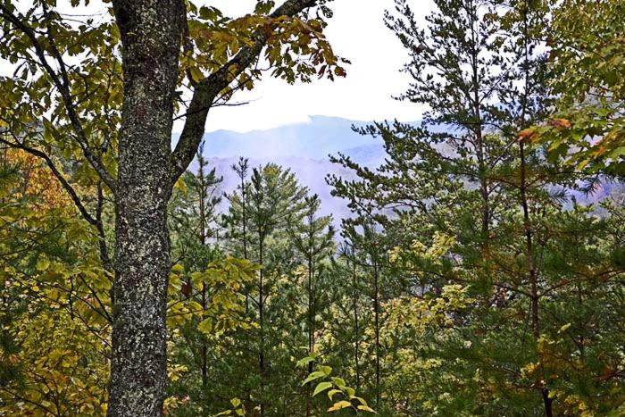 Mountain Magic - Housity