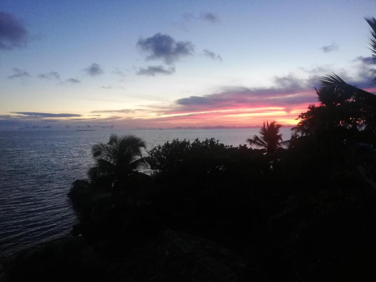 Hostal Coral Blue - Housity