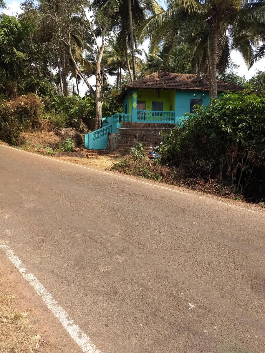 AGONDA green house - Housity