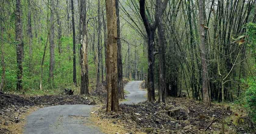 Thenmala Heritage - Housity
