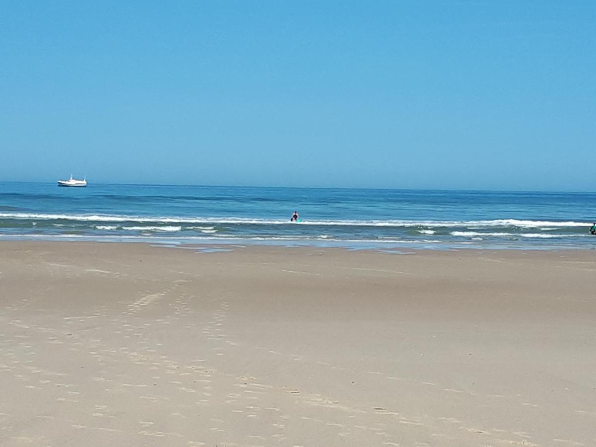 LES GRANDS PINS - Housity