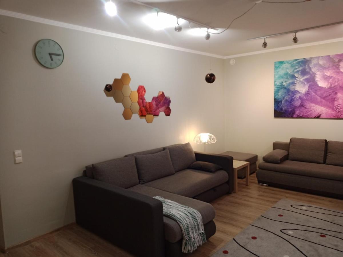 Family or Group Apartment in Green Center - Housity