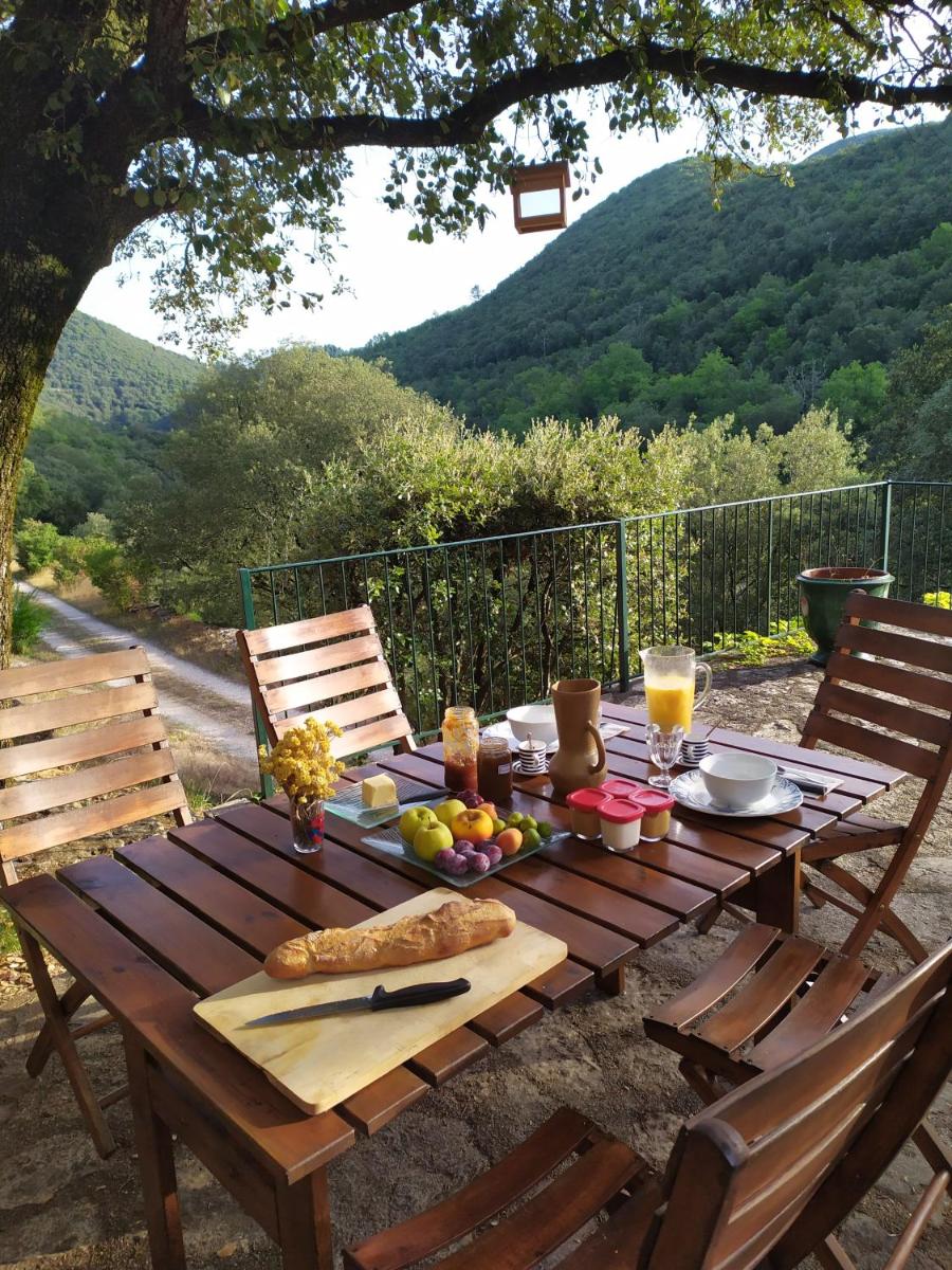 Chambre Cévennes: Piscine, lamas, rivière - Housity