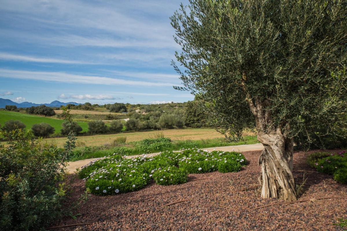 Paisaje cerca de este hotel