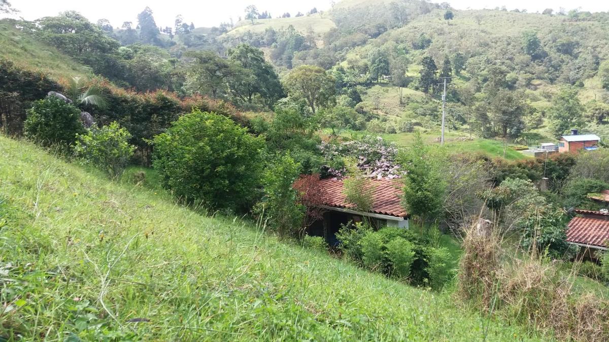 Naturaleza en armonia - Housity