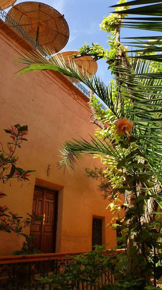 Riad Timadrouine - Housity