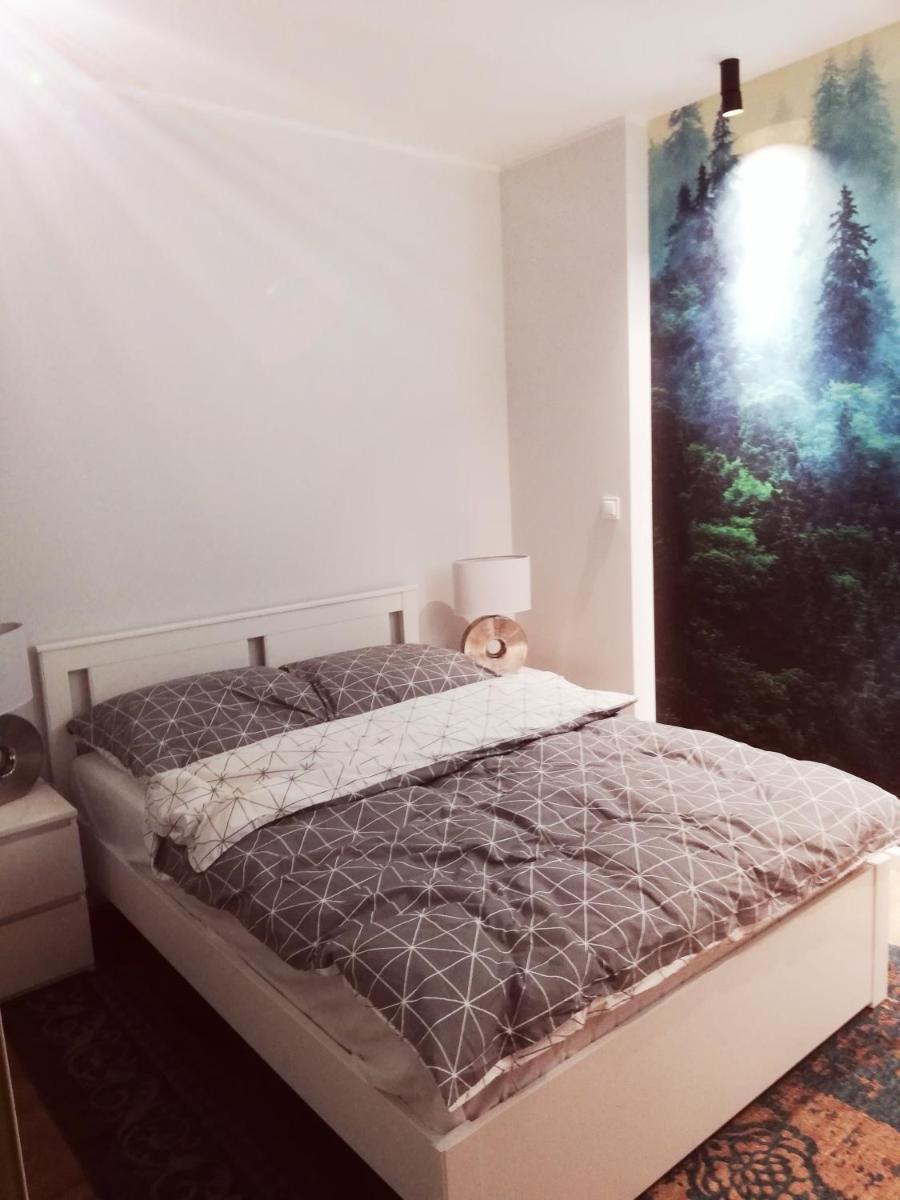 Apartamenty przy Gimnazjalnej - Housity