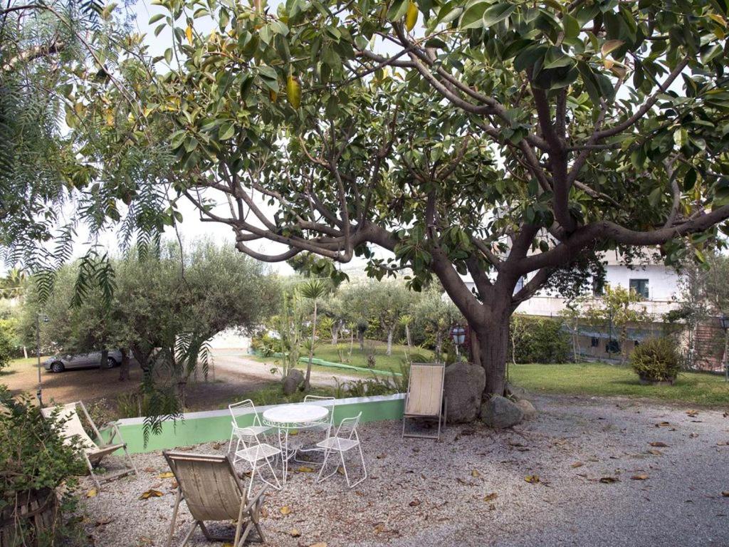 Villa Patricia - Housity
