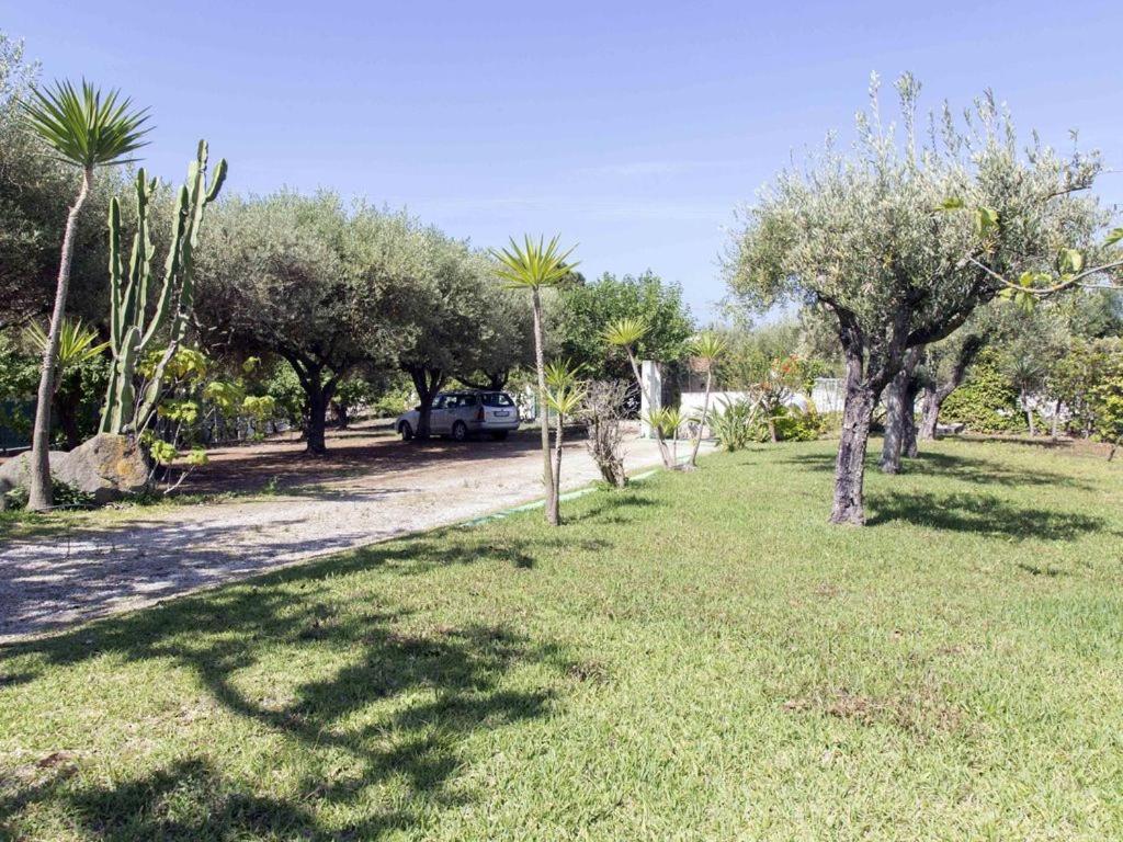 Villa Patricia - Housity