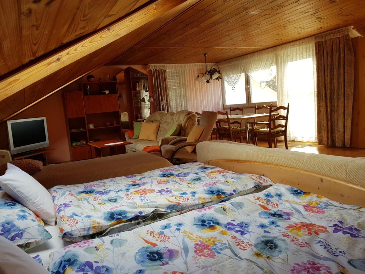 Apartmán v rodinném domě - Housity