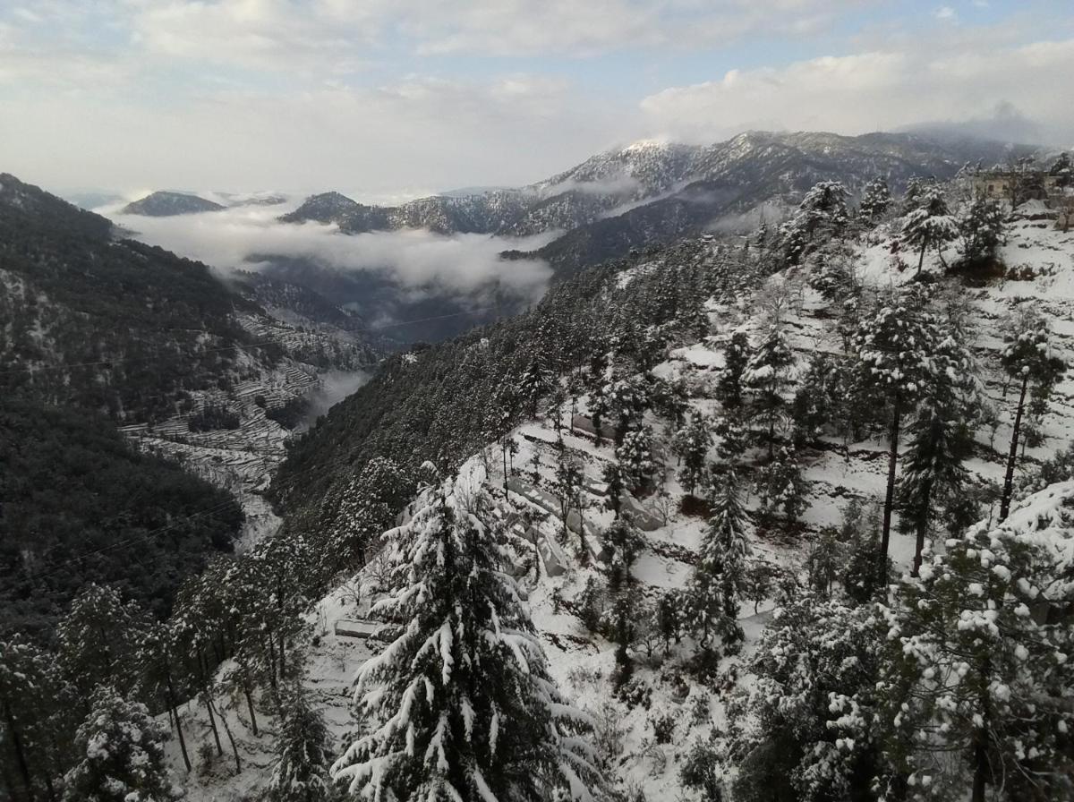 Clarks Exotica Resort Ramgarh Mukteshwar - Housity