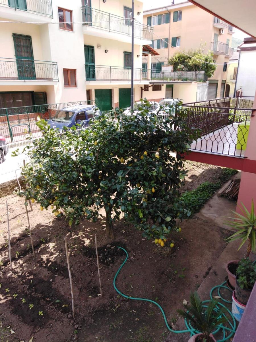 Nilu' e Sagio' - Housity