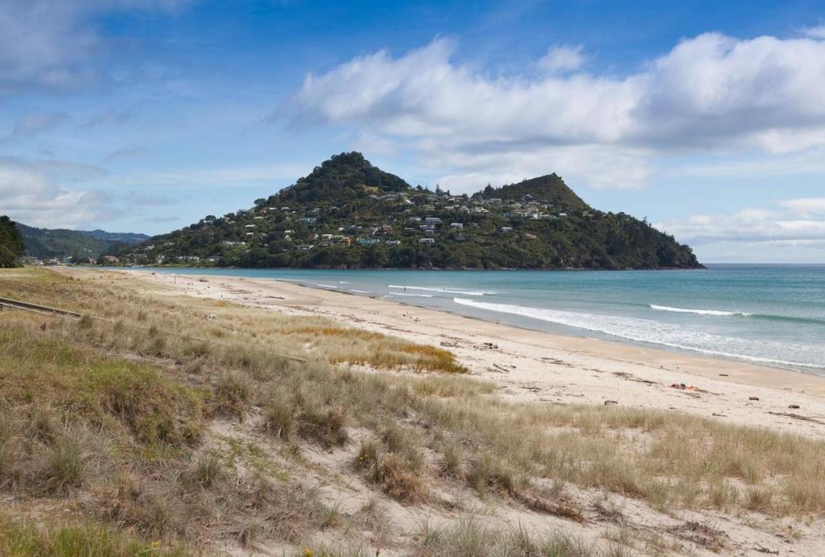 Pauanui Pines Motor Lodge - Housity