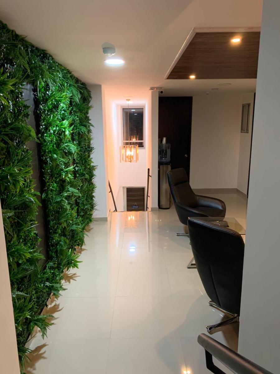 Orange Wild - Housity