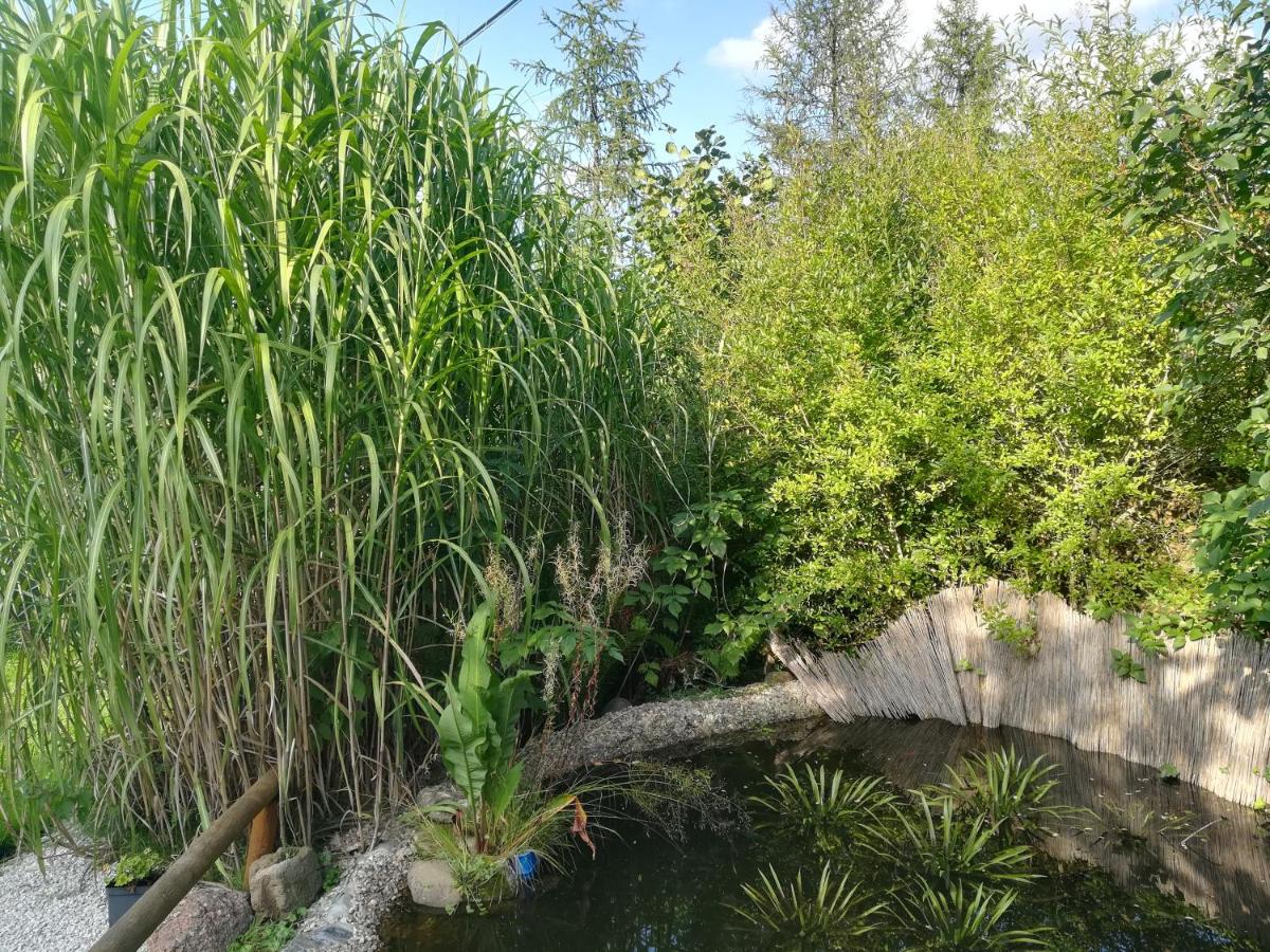 Zagroda Podlas - gospodarstwo agroturystyczne - Housity