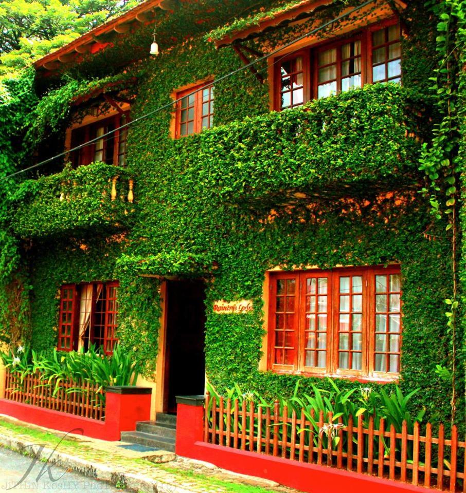 Raintree Lodge - Housity