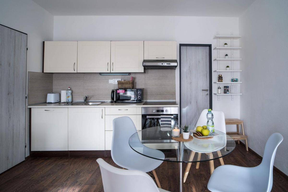 Haas Apartments Downtown with Parking - Hizvo
