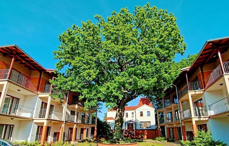 Rezydencja 5 Dębów - Housity