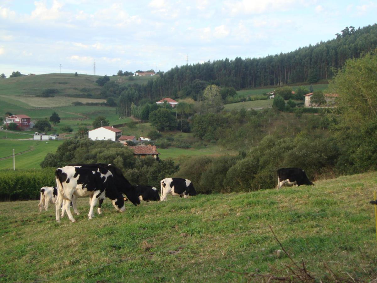 Hotel Rural Rumoroso - Housity