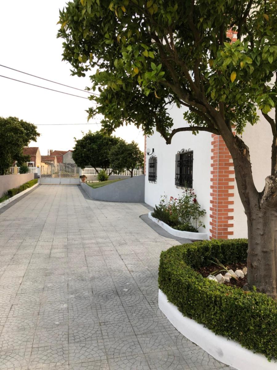 My house in Mira - Cantanhede Mira Beach Cantanhede - Housity
