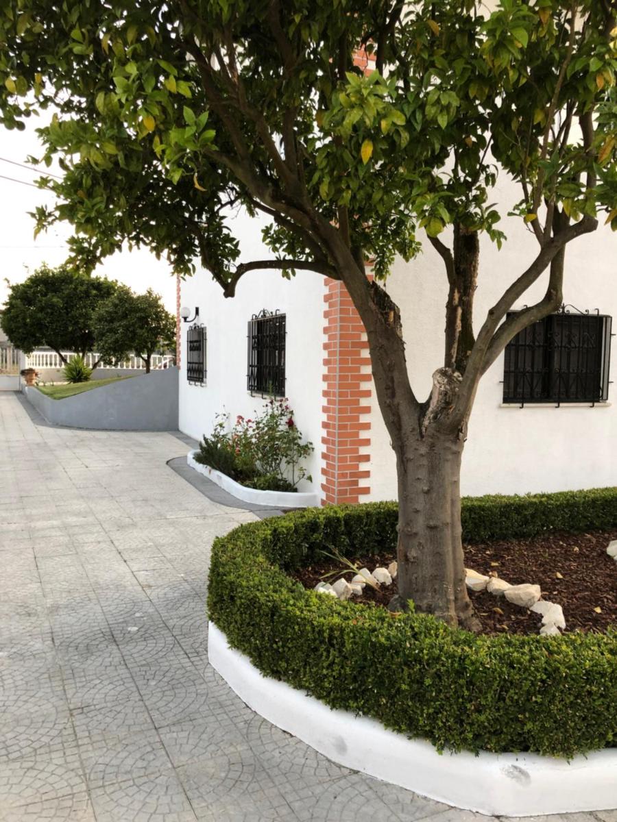 My house in Mira - Cantanhede Mira Beach Cantanhede - Housity