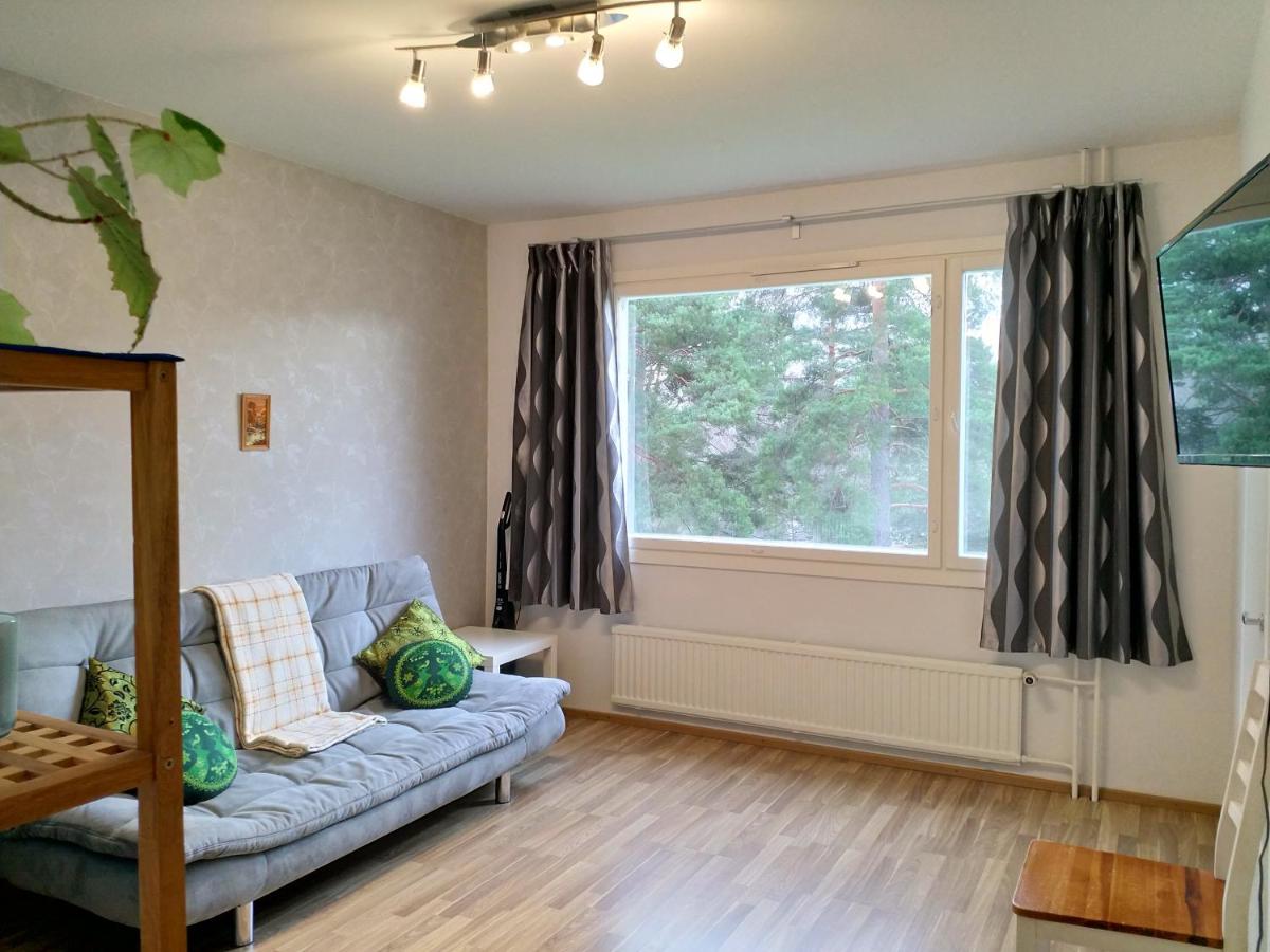 Rauhalantie Studio - Housity
