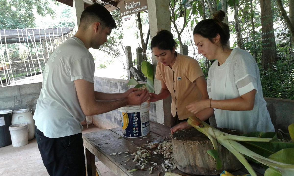Phunacome Resort - Housity