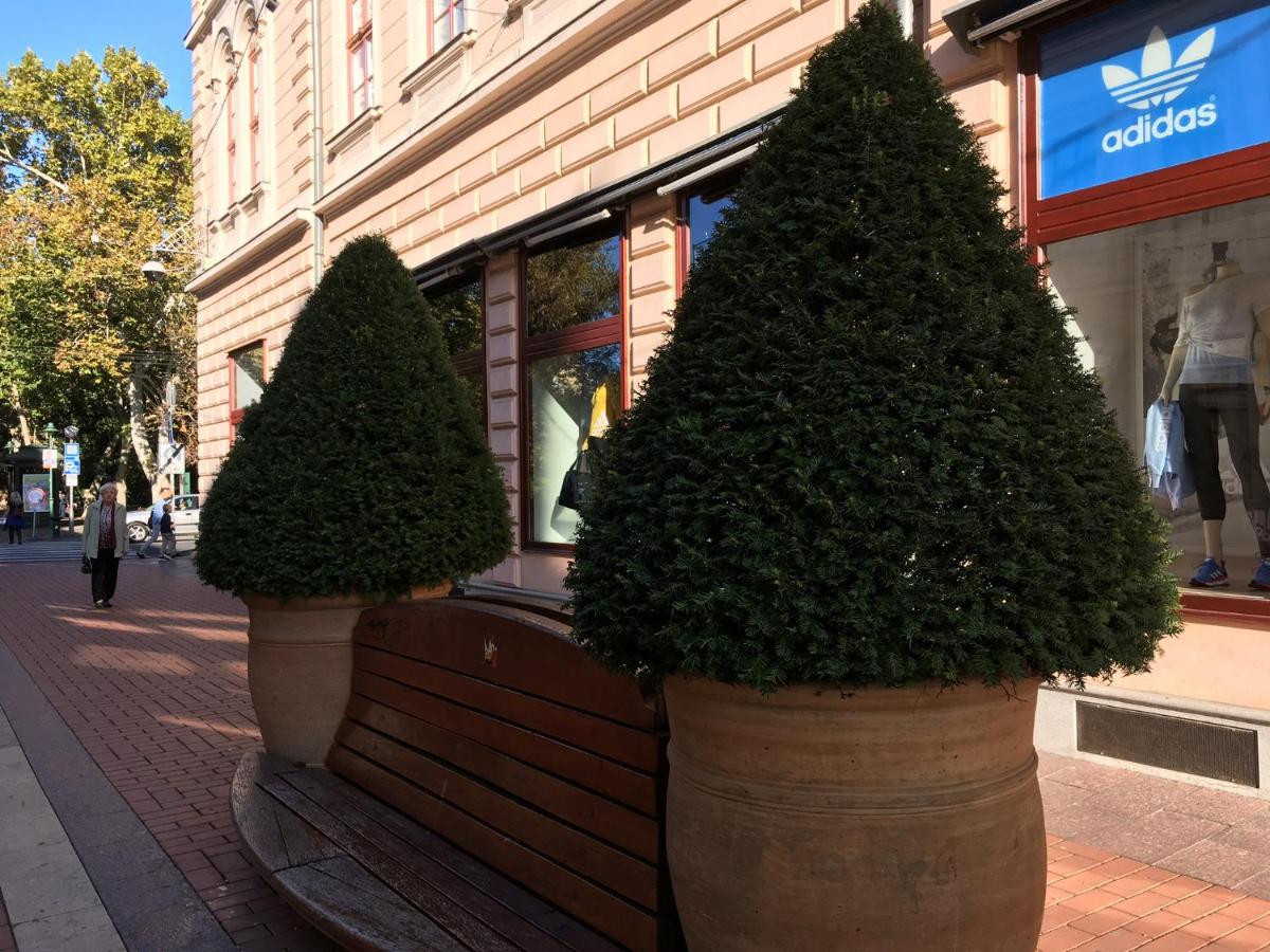Gutenberg Apartments - Housity