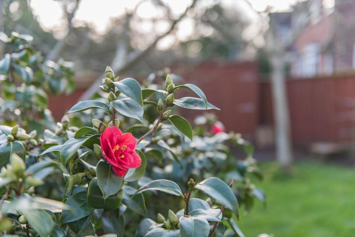 Cornerways by Bloom Stays - Housity