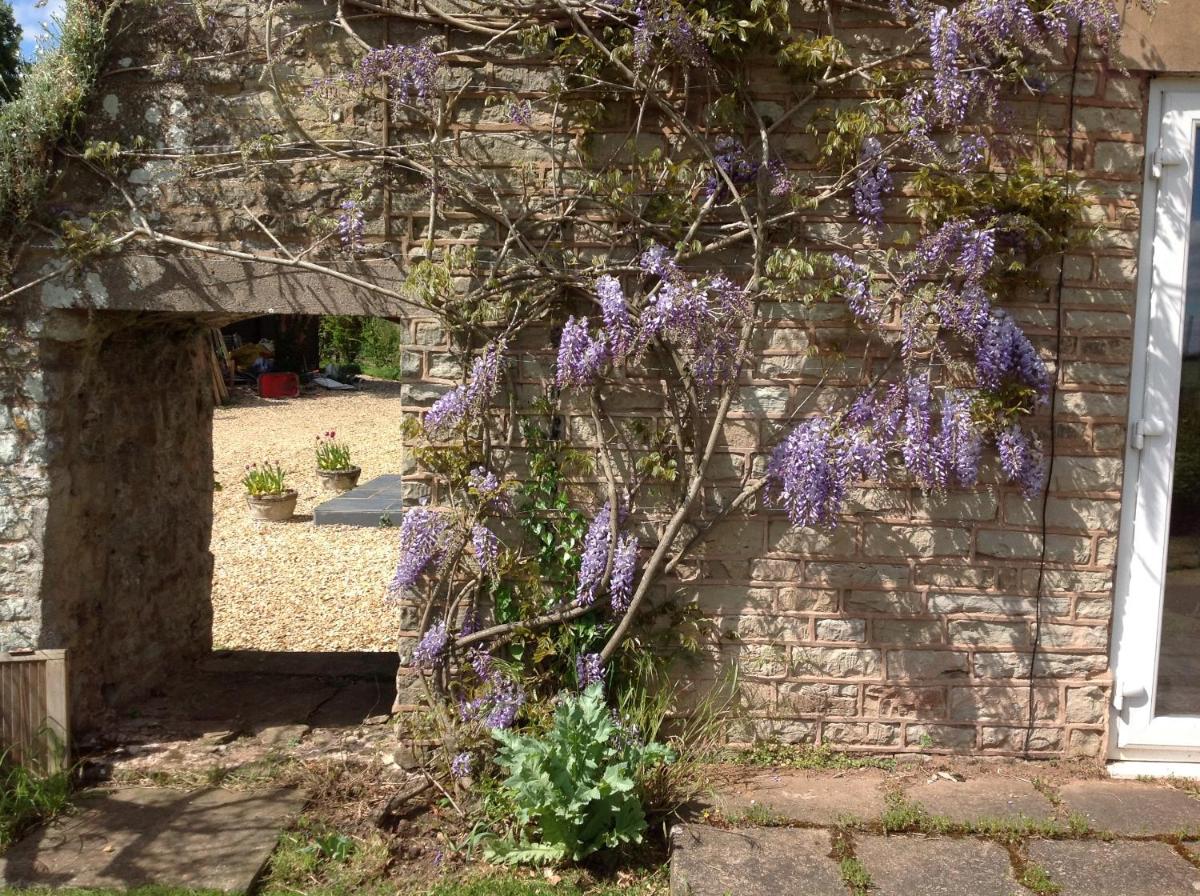 The Coach House - Housity