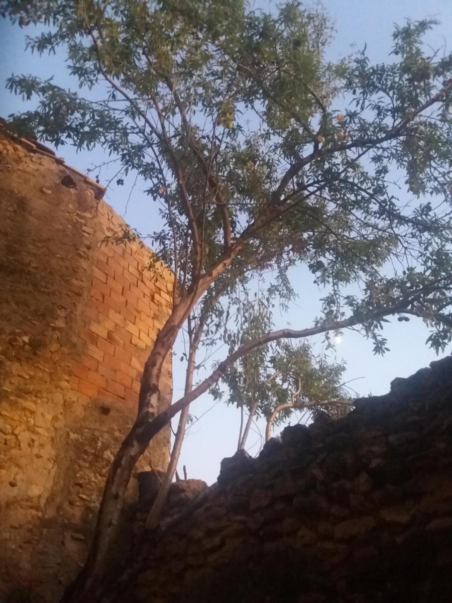 Aragonaise - Housity